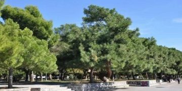 Alldaynews.gr Βόλος: Ζευγάρι έσπασε την απαγόρευση και πιάστηκε γuμνό σε πάρκο-“Άξιζε τον κόπο” είπε η 32χρονη