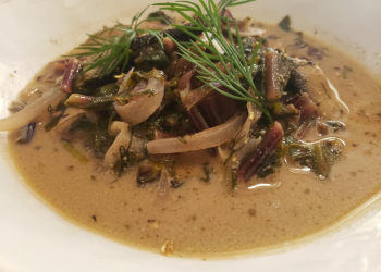 Κόμμα για τα ζώα: Συνταγή για βίγκαν μαγειρίτσα – «μανιταρίτσα» από τον Ν. Γαϊτάνο