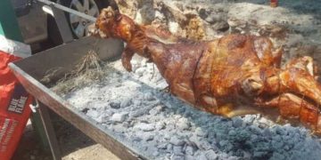 Alldaynews.gr Έτσι θα ψήσουμε το Πάσχα τον οβελία! Τα μέτρα που θα ληφθούν