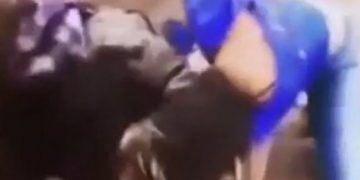 Alldaynews.gr Άγριο ξεμάλλιασμα στο δρόμο! Η πρώην και η νυν σύντροφος διαζευγμένου συζύγου