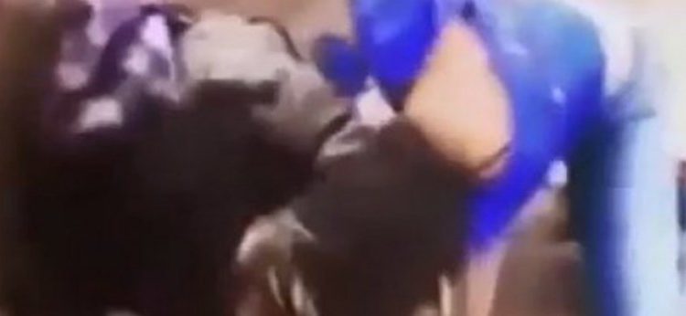 Alldaynews.gr Άγριο ξεμάλλιασμα στο δρόμο! Η πρώην και η νυν σύντροφος διαζευγμένου συζύγου