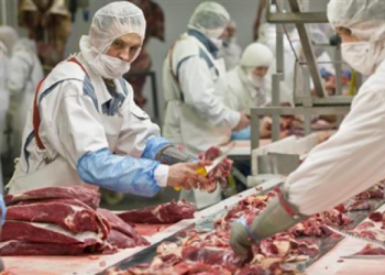 ΕΦΕΤ: ΠΡΟΣΤΙΜΟ σε 23 εταιρείες! Κρέας αλόγου και μουλαριού σε σνίτσελ κοτόπουλο, πάριζα κλπ [ΑΝΑΛΥΤΙΚΗ ΛΙΣΤΑ]