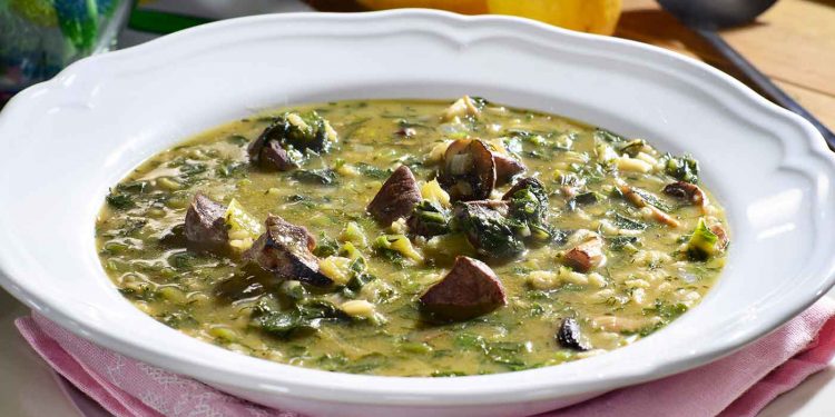 Alldaynews.gr Κόμμα για τα ζώα: Συνταγή για βίγκαν μαγειρίτσα – «μανιταρίτσα» από τον Ν. Γαϊτάνο