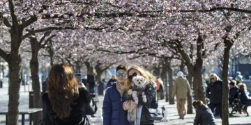 Alldaynews.gr Κορωνοϊός: «Καταιγίδα» κρουσμάτων στη Στοκχόλμη – Υπό αμφισβήτηση η στρατηγική της Σουηδίας