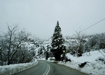 Τρίκαλα: Θα αργήσει η Άνοιξη – Χιόνιζε όλη νύχτα!