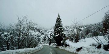 Alldaynews.gr Τρίκαλα: Θα αργήσει η Άνοιξη – Χιόνιζε όλη νύχτα!