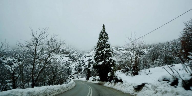 Alldaynews.gr Τρίκαλα: Θα αργήσει η Άνοιξη – Χιόνιζε όλη νύχτα!