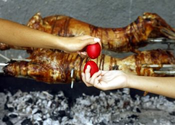 Κόμμα για τα ζώα: Συνταγή για βίγκαν μαγειρίτσα – «μανιταρίτσα» από τον Ν. Γαϊτάνο