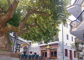 Όχι παίζουμε: Βουλευτής της ΝΔ “έβαλε” ΑΤΜ στο χωριό του! “Το είπαμε! Το κάναμε!”