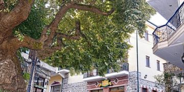 Όχι παίζουμε: Βουλευτής της ΝΔ “έβαλε” ΑΤΜ στο χωριό του! “Το είπαμε! Το κάναμε!”