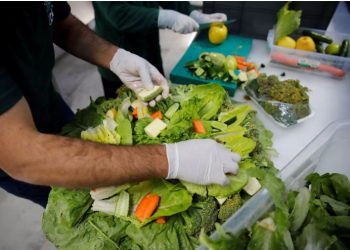 Μεταδίδεται ο κορονοϊός από τα τρόφιμα και το νερό; Όλες οι απαντήσεις από ειδικό