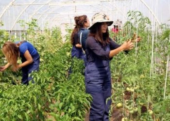 Εργασία ΑΜΕΣΑ! Τα ελληνόπουλα να πάνε να δουλέψουν στα χωράφια – Δεν είναι ντροπή, ντροπή είναι τα επιδόματα-ελεημοσύνη