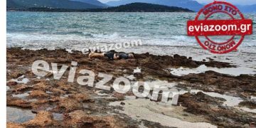 Αλυκές-Τραγικό: Η θάλασσα ξέβρασε πτώμα ψαρά[Σκληρές Εικόνες]