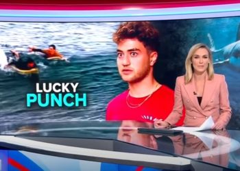 Σκηνές θρίλερ: Σέρφερ επέζησε από επίθεση καρχαρία ρίχνοντας… μπουνιές!