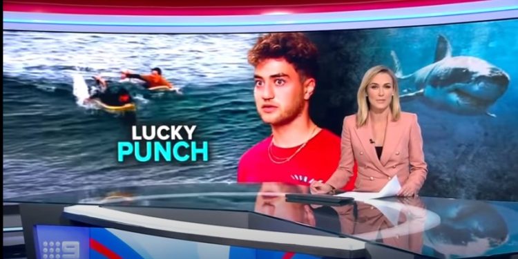 Alldaynews.gr Σκηνές θρίλερ: Σέρφερ επέζησε από επίθεση καρχαρία ρίχνοντας… μπουνιές!