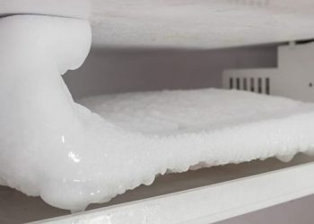 Κρατούσε τη νεκρή γιαγιά της σε καταψύκτη για 15 χρόνια για να παίρνει τη σύνταξή της!