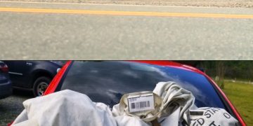 Βρήκαν 1 εκατομμύριο δολάρια (Video)