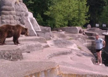 Μεθυσμένος, μπαίνει σε κλουβί αρκούδας στο ζωολογικό κήπο και επιχειρεί να πνίξει το ζώο (Video)
