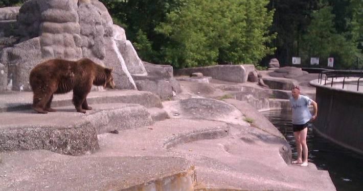 Alldaynews.gr Μεθυσμένος, μπαίνει σε κλουβί αρκούδας στο ζωολογικό κήπο και επιχειρεί να πνίξει το ζώο (Video)