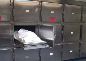 Alldaynews.gr Τι αποκαλύπτουν οι νεκροψίες για τον κορωνοϊό