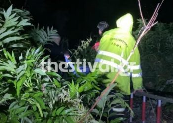 Θεσσαλονίκη: Διάσωση 21χρονου από χείμαρρο – «Μη φοβάσαι σε βλέπουμε» (vid)