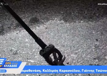 Πήγε για μπάνιο στην Πάτρα και γύρισε με παρέα! Βρήκε 4 φίδια στο αυτοκίνητό της (vid)