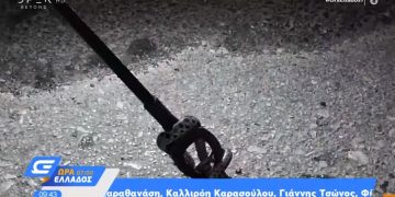 Πήγε για μπάνιο στην Πάτρα και γύρισε με παρέα! Βρήκε 4 φίδια στο αυτοκίνητό της (vid)