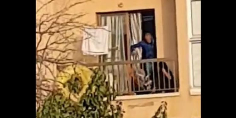 Alldaynews.gr Κύπρος: Έδερνε την σύντροφό του και κλοτσούσε τον σκύλο στο μπαλκόνι – Αναζητείται ο δράστης (video)