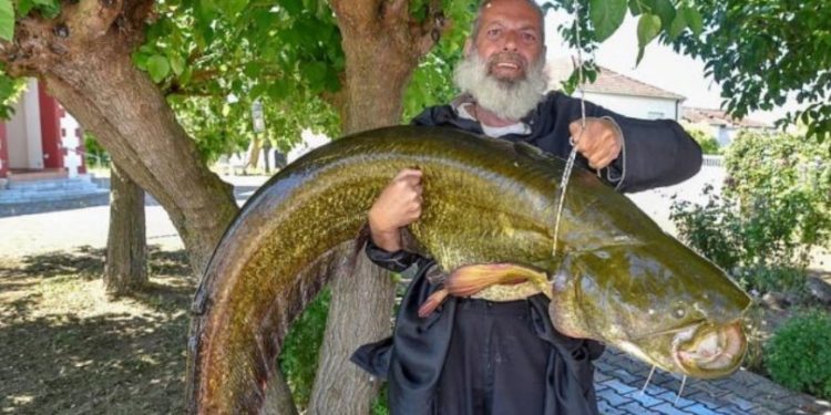 Alldaynews.gr Ιερέας έπιασε Ψάρι 35 κιλών στον Πηνειό ποταμό