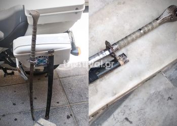 Θρίλερ στη Θεσσαλονίκη: Συνελήφθη 43χρονος με σπαθί σαμουράι[photos]