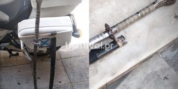 Θρίλερ στη Θεσσαλονίκη: Συνελήφθη 43χρονος με σπαθί σαμουράι[photos]