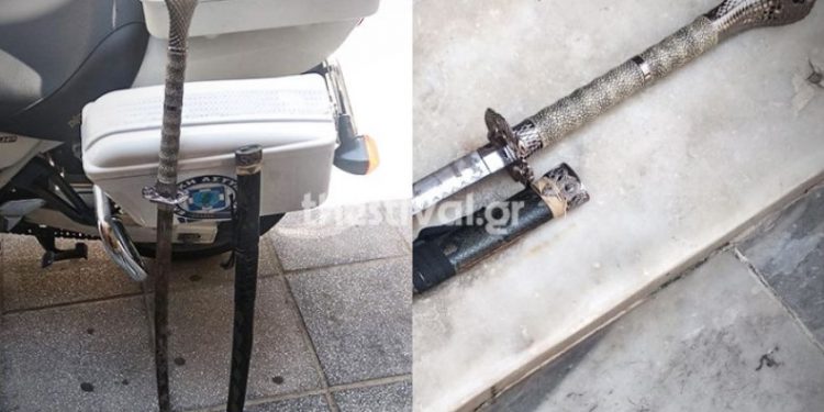 Θρίλερ στη Θεσσαλονίκη: Συνελήφθη 43χρονος με σπαθί σαμουράι[photos]