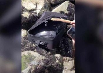 Νεαροί γύριζαν βίντεο στο Tik Tok για χαβαλέ όταν ανακάλυψαν βαλίτσα με κομμάτια ανθρώπινου σώματος