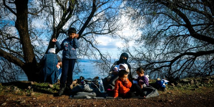 Alldaynews.gr Έξαλλοι με ΜΚΟ που εξυπηρετεί και «κρύβει» παράνομους μετανάστες σε δάση!