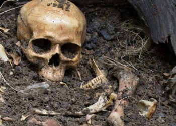 Θρίλερ στον Αγ. Δημήτριο-Τι έκανα τον πατέρας τους; Εντοπίστηκαν ανθρώπινα οστά και κρανίο σε σπίτι