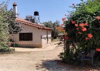 «Πάγωσαν» στα Φιλιατρά! Θρίλερ με γυναίκα που βρέθηκε με κομμένο λαιμό (video)