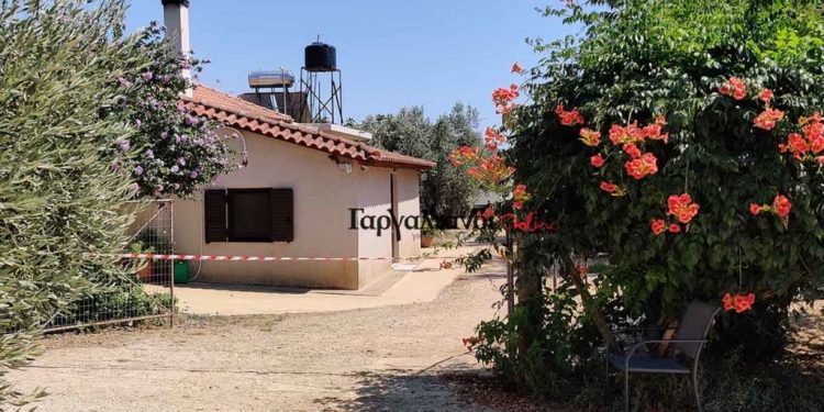 Alldaynews.gr «Πάγωσαν» στα Φιλιατρά! Θρίλερ με γυναίκα που βρέθηκε με κομμένο λαιμό (video)