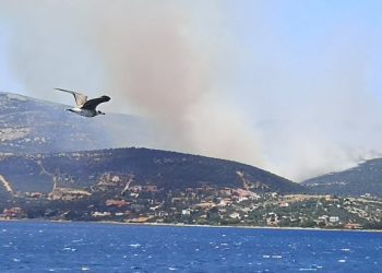 ΑΠΟΚΛΕΙΣΤΙΚΕΣ ΕΙΚΟΝΕΣ: Εκτός ελέγχου η φωτιά στην Κάρυστο-Σε επιφυλακή οι κάτοικοι για εκκένωση οικισμού