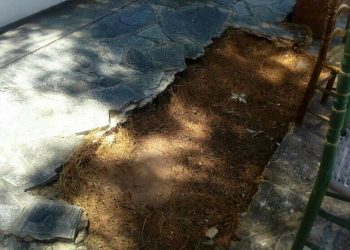 Ειναι τραγικό: Αταυτοποίητοι νεκροί απο το Μάτι θαμμένοι σε λάκκο στη Νέα Μάκρη