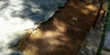 Alldaynews.gr Ειναι τραγικό: Αταυτοποίητοι νεκροί απο το Μάτι θαμμένοι σε λάκκο στη Νέα Μάκρη