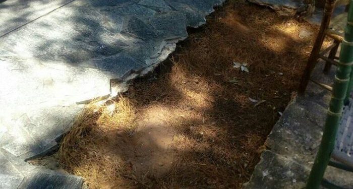 Alldaynews.gr Ειναι τραγικό: Αταυτοποίητοι νεκροί απο το Μάτι θαμμένοι σε λάκκο στη Νέα Μάκρη