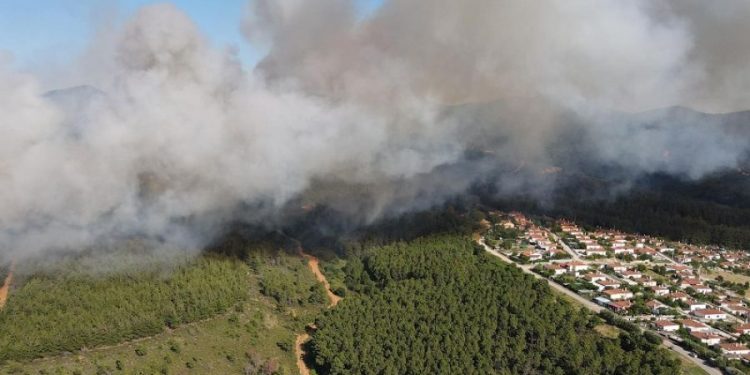 Alldaynews.gr Ροδόπη: Μεγάλη φωτιά σε δάσος στις Σάπες – Εκκενώνεται οικισμός Ποντίων (video)