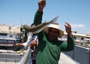 Κηφισός: Ψαρεύουν κέφαλους στο ύψος του Ρέντη[photos]