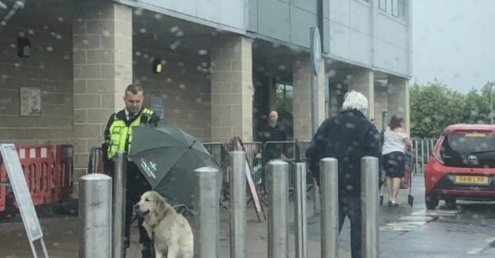 Άνδρας security κράτησε ομπρέλα σε σκύλο για να μη βραχεί και όλος ο πλανήτης υποκλίνεται