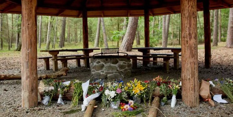 Alldaynews.gr Δολοφονία σοκ νεαρού μιγά από δύο αδελφούς με ναζιστικές «συμπάθειες»