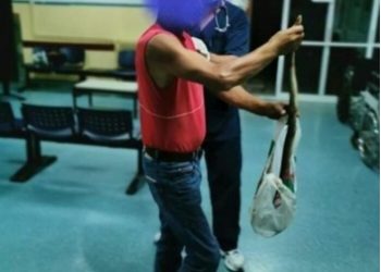 Τον δάγκωσε φίδι και το πήρε μαζί του στο Κέντρο Υγείας!