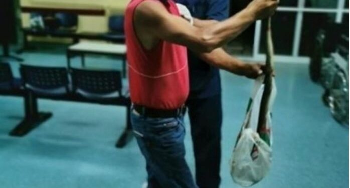 Alldaynews.gr Τον δάγκωσε φίδι και το πήρε μαζί του στο Κέντρο Υγείας!