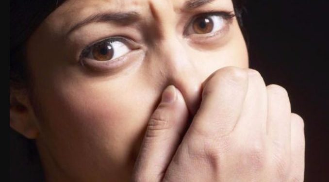 Λαμία: Σπίτι υγειονομική “βόμβα” μέσα στην πόλη[Σοκαριστικές Φωτογραφίες]