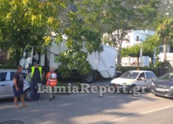 Σφήκα τσίμπησε οδηγό απορριμματοφόρου – Παρέσυρε τέσσερα αυτοκίνητα και σταμάτησε σε ένα δέντρο (pics)