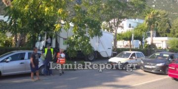 Alldaynews.gr Σφήκα τσίμπησε οδηγό απορριμματοφόρου – Παρέσυρε τέσσερα αυτοκίνητα και σταμάτησε σε ένα δέντρο (pics)
